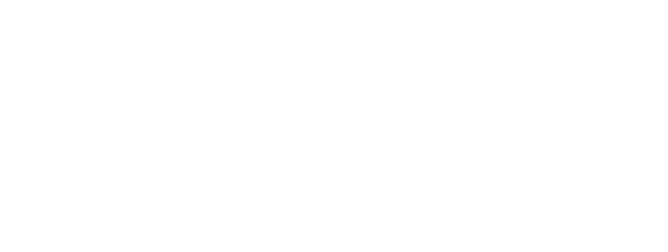 SaltnTasty Logo in Weiß